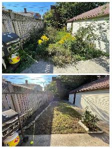 Gardener Available. Not hiring