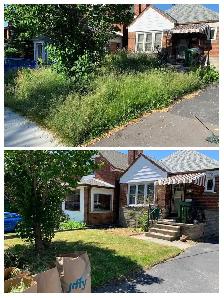 Gardener Available. Not hiring - Photo 2