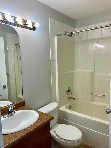 4 Bed 3.5 Bath Duplex/Finished Basement/Cobblestone Avail Now! - Photo 8
