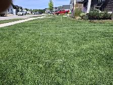 For sale  Election  Stakes Coro 10 ' W 30' H Stakes - Photo 2