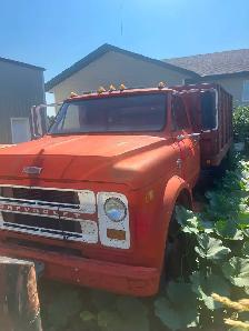 Trucks for sale - Photo 4