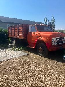 Trucks for sale - Photo 5