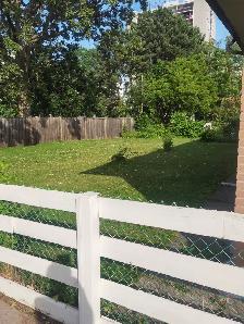3 bedrooms basemen in Mississauga for rent - Photo 8