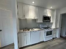 Bright  modern 1 BDRM Apt - St Thomas perfect for single - Photo 4
