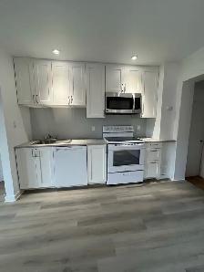 Bright  modern 1 BDRM Apt - St Thomas perfect for single - Photo 9
