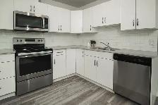 BRAND NEW - 2 Bed apartment in Wolseley! - Photo 4