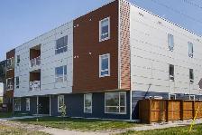 BRAND NEW - 2 Bed apartment in Wolseley! - Photo 10