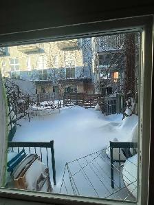 4 1\2 meublé - Novembre à Juin - Moyen terme - petite italie - Photo 8