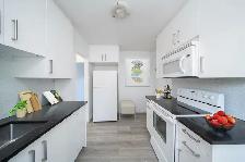NEWLY RENOVATED 2 bed Duplex - East Elmwood! - Photo 3
