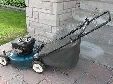 21 Inch Mulching Gas Lawnmower, with Grass Bag - Photo 10
