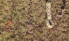 Towing Chains - Photo 3