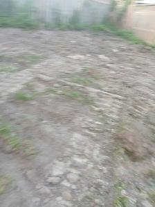 need general labourer