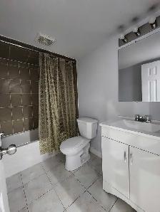 1 Bedroom Basement Apartment - Photo 4