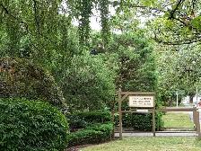 Large One Bed near Marpole Loop Available October 1st or earlier