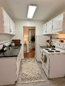Large One Bed near Marpole Loop Available October 1st or earlier - Photo 4