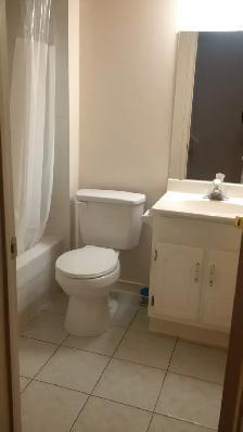 Basement Apartment For Rent - Photo 5