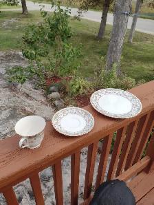 Noritake Meadow Ivory China Cup and Saucer Set - Photo 4