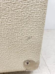(9921500) SWR California Blonde II Acoustic Amp - Photo 5
