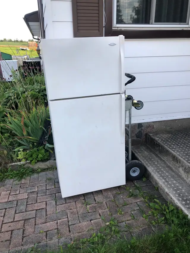 fridge can be delivered