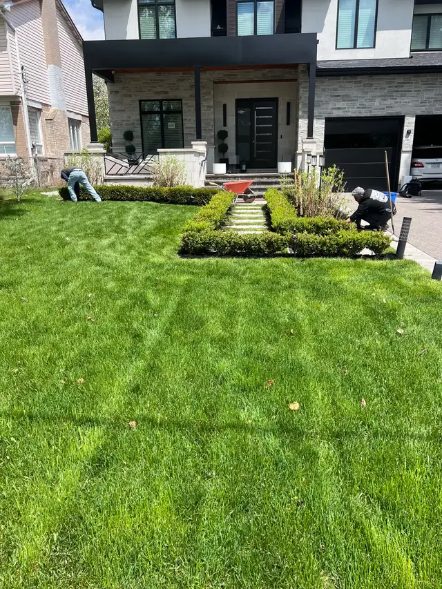 grass cutting and weed control 289-772-7822