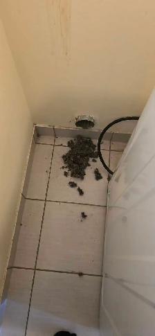 dryer vent cleaning - Photo 6