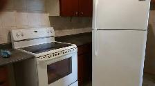 1 Bedroom Apartment for Rent in Etobicoke (Albion & Islington) - Photo 3