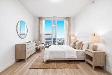Modern 1, 2, & 3 Bedroom Rentals - 49 Walnut St S Hamilton - Photo 3