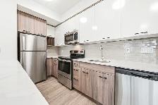 Modern 1, 2, & 3 Bedroom Rentals - 49 Walnut St S Hamilton - Photo 7