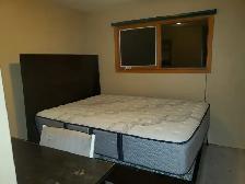 Brentwood room - minutes walk to LRT and U of C - Photo 6