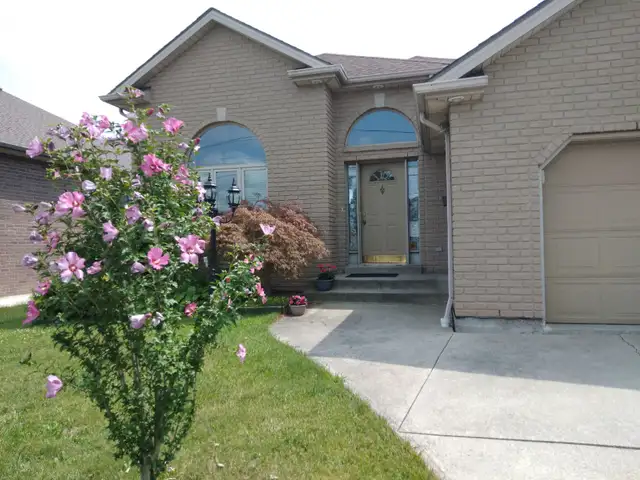Large room for rent near St.Clair College and all amenites