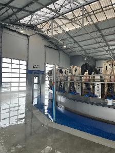 Dairy Farm Hand - Photo 3