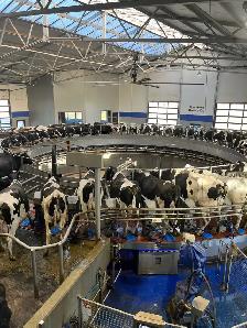 Dairy Farm Hand - Photo 4