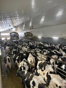 Dairy Farm Hand - Photo 5
