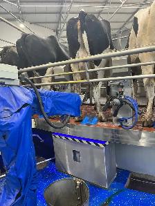 Dairy Farm Hand - Photo 6