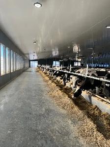 Dairy Farm Hand - Photo 9