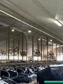 Dairy Farm Hand - Photo 10