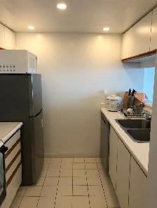 Spacious Studio Condo Downtown Toronto - Photo 4