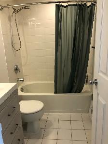 Spacious Studio Condo Downtown Toronto - Photo 5