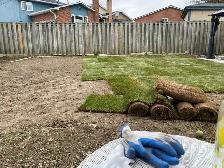 Landscaping/Sodding - Photo 3