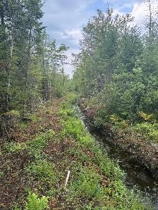 TERRE À BOIS 10e RANG OUEST WICKHAM 82 ACRES CAMP DE CHASSE