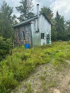 TERRE À BOIS 10e RANG OUEST WICKHAM 82 ACRES CAMP DE CHASSE - Photo 2