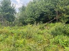 TERRE À BOIS 10e RANG OUEST WICKHAM 82 ACRES CAMP DE CHASSE - Photo 8