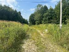 TERRE À BOIS 10e RANG OUEST WICKHAM 82 ACRES CAMP DE CHASSE - Photo 10