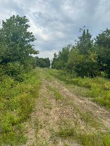 TERRE À BOIS 10e RANG OUEST WICKHAM 82 ACRES CAMP DE CHASSE - Photo 11