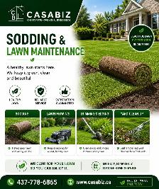 Sodding/Landscaping