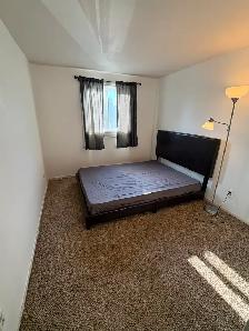 2 Bedroom Apartment to share with 1 person