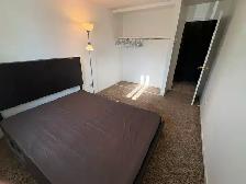 2 Bedroom Apartment to share with 1 person - Photo 2