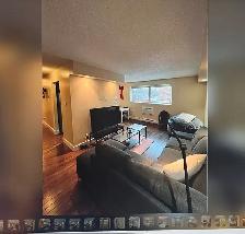 1 Bed Rooms for rent in St Boniface - Photo 2