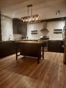 2 BEDROOM EXECUTIVE STYLE BASEMENT IN UPSCALE SOUTH ETOBICOKE - Photo 2