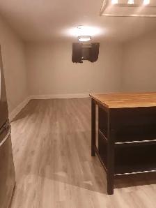 2 BEDROOM EXECUTIVE STYLE BASEMENT IN UPSCALE SOUTH ETOBICOKE - Photo 4